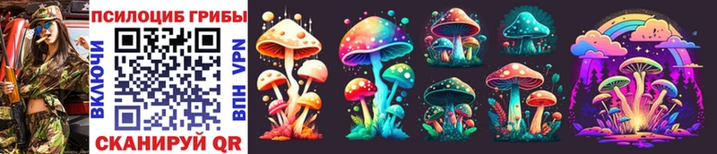 Купить  Полысаево  Галлюциногенные грибы Cubensis 